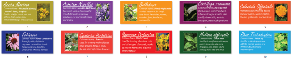 Herbs-PLR-Infographics