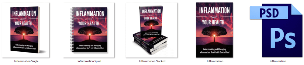 Inflammation PLR eCover Graphics