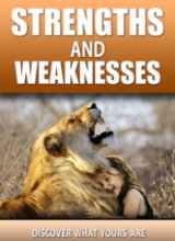 Strengths and Weaknesses PLR-image