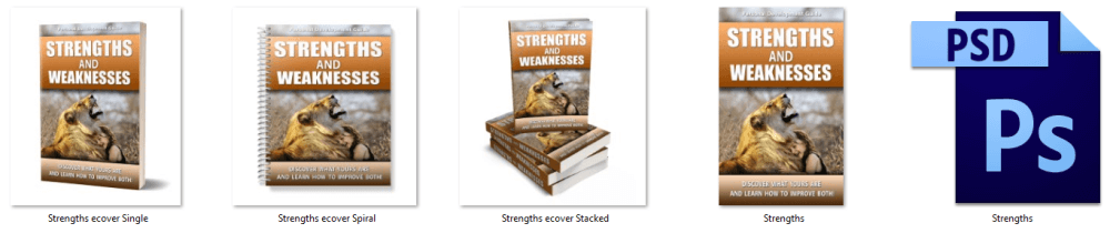 Strengths & Weaknesses PLR eCover Graphics