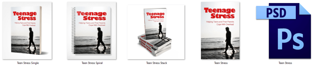 Teenage Stress PLR EBook eCover Graphics