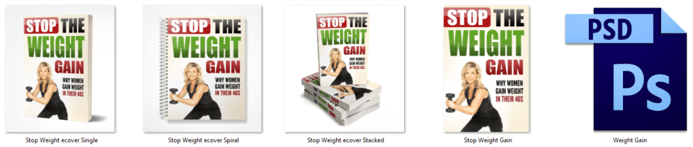 Stop The Weight Gain PLR eBook Cover Graphics