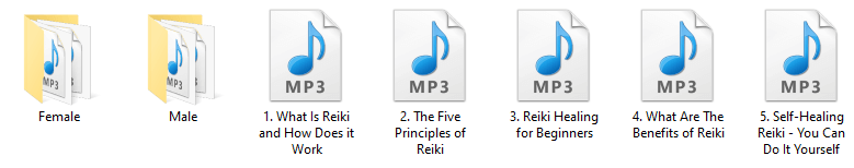 Reiki PLR Audio Articles