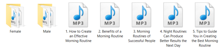 Morning Routines PLR Audio Articles