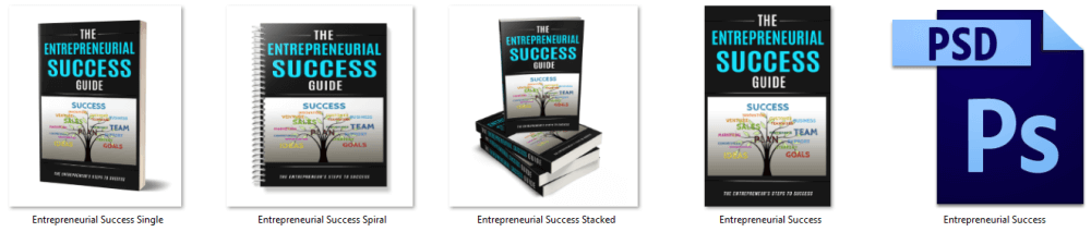Entrepreneurial Success Guide PLR Report eCover Graphics