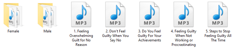 Stop Feeling Guilty PLR Audio Articles