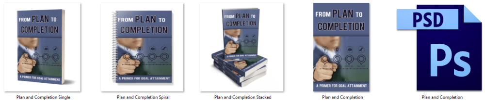 From Plan to Completion PLR Report