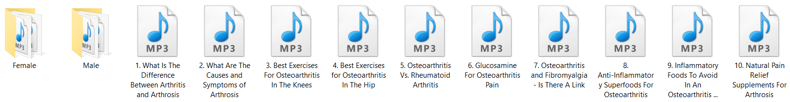 Arthrosis PLR Audio Articles