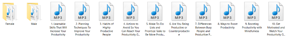Boost Productivity PLR Articles Audio and Written