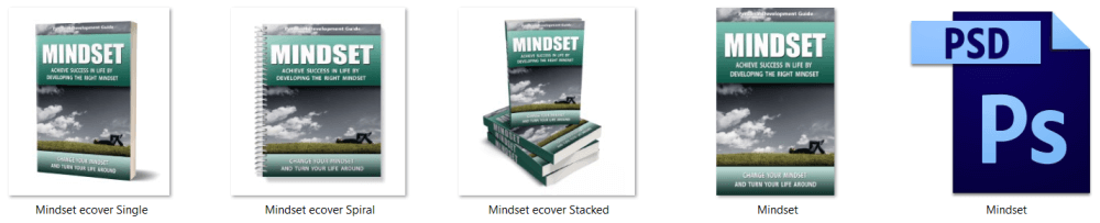 Develop The Right Mindset PLR eCover Graphics