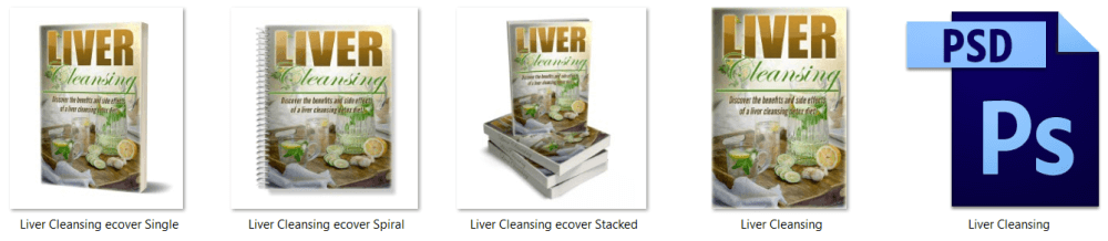 Liver Cleansing PLR Report eCovers
