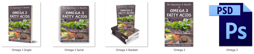 Omega 3 Fatty Acids PLR Report eCover Graphics