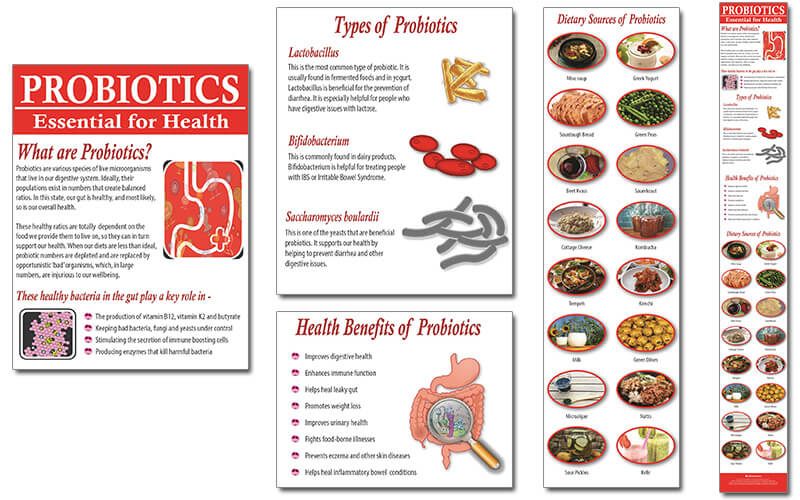Probiotics PLR Infographics
