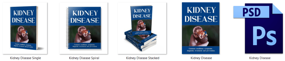 Kidney Disease PLR Report eCover Graphics