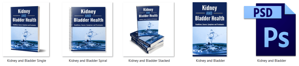 Kidney and Bladder Health PLR eBook eCover Graphics