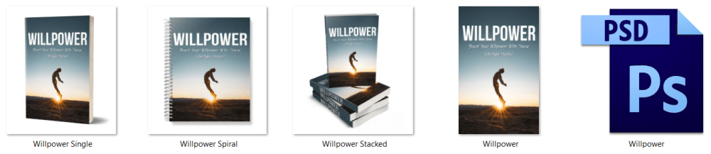 Willpower PLR Report eCover Graphics