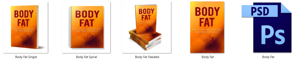 Body Fat PLR Report eCover Graphics