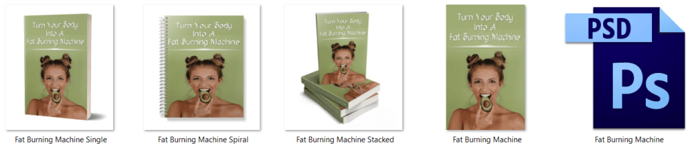 Fat Burning Machine PLR Report