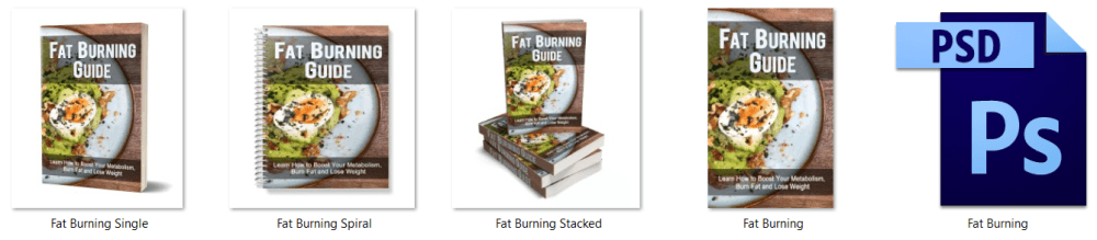 Fat Burning PLR eBook Cover Graphics