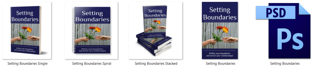 Setting Boundaries PLR Report eCover Graphics