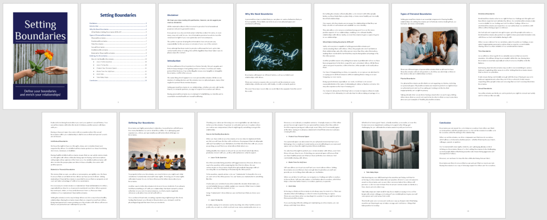 Setting Boundaries PLR Report Contents