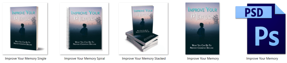 Improve Your Memory Health PLR eBook eCover Graphics