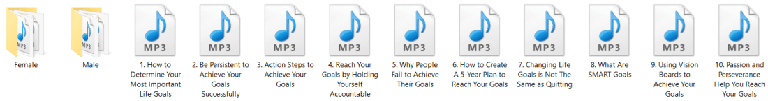 Goal Setting PLR Articles Audio and Written