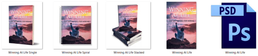 Winning at Life Stop Quitting and Start Winning PLR Report eCover Graphics
