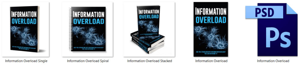 Information Overload PLR Report eCover Graphics