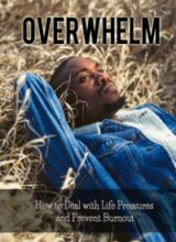 Overwhelm PLR and Information Overload-image