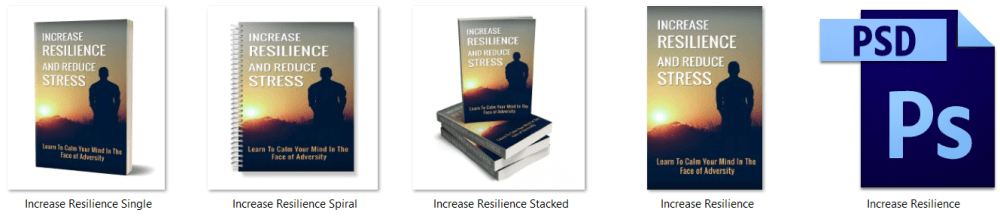 Increase Resilience & Reduce Stress PLR Report eCover Graphics