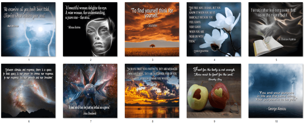 Self-Reflection PLR Social Quote Posters 1