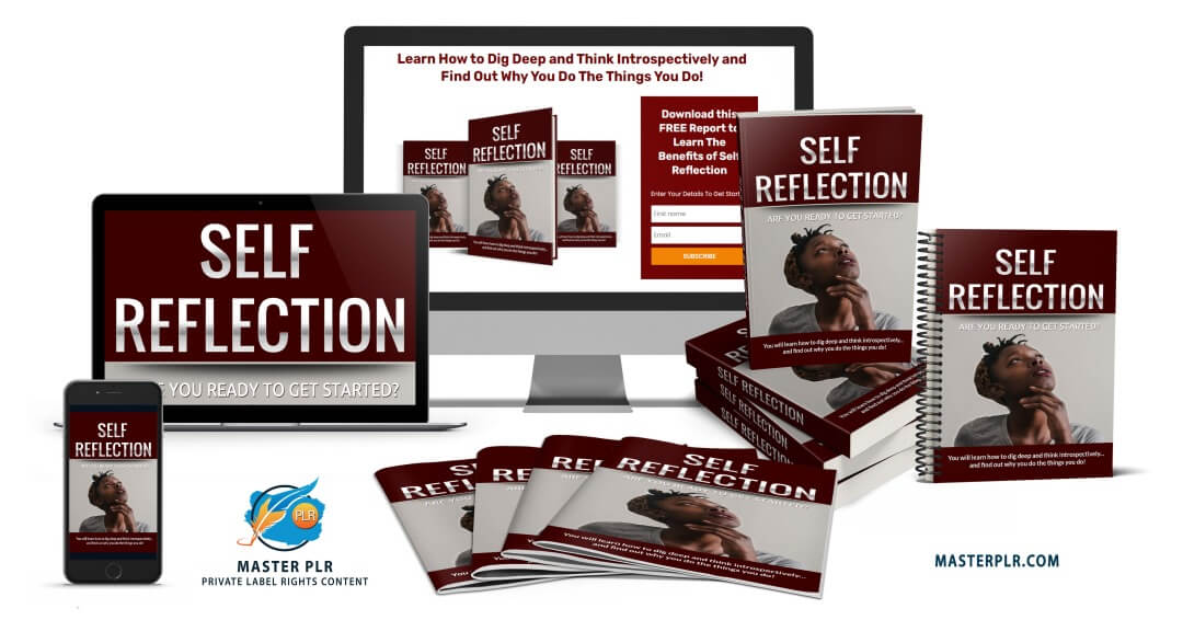 Self-Reflection PLR