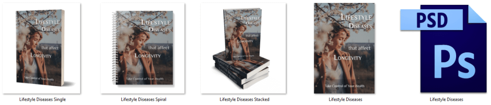 Lifestyle Diseases PLR Report eCover Graphics