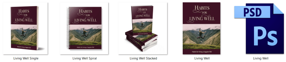Habits For Living Well PLR Report eCover Graphics