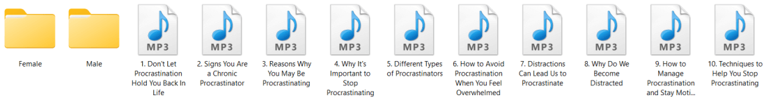 Procrastination PLR Articles Written and Audio