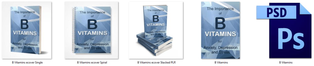 B Vitamins PLR - Vitamin B Complex PLR Report eCover Graphics