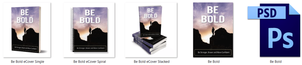 Be Bold PLR Report eCover Graphics