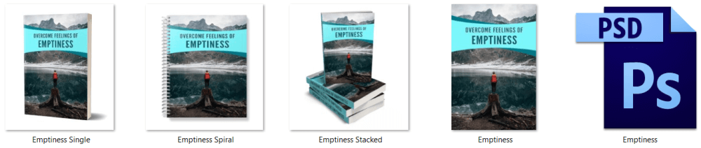 Emptiness PLR Report eCover Graphics