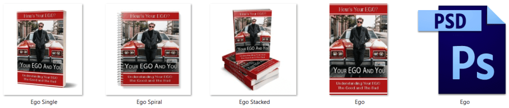 Power of Ego PLR eBook eCover Graphics