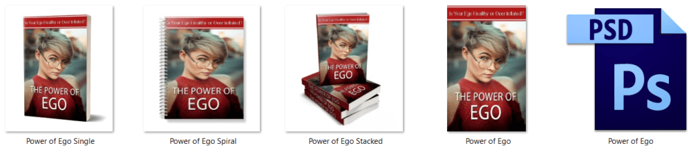 Power of Ego PLR Report eCover Graphics