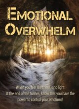 Emotions PLR and Emotional Overwhelm-image