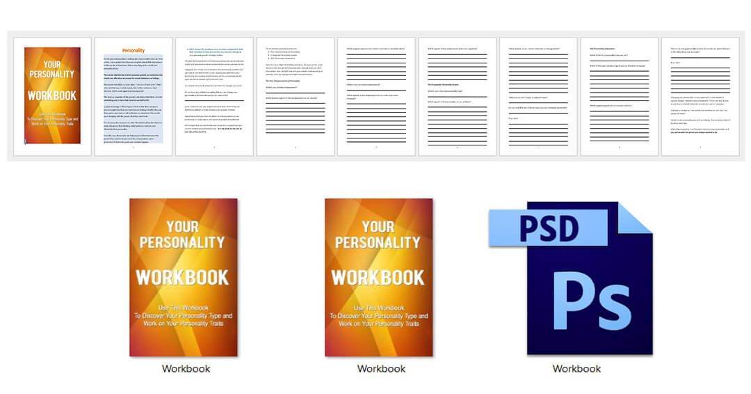 Personality PLR Workbook