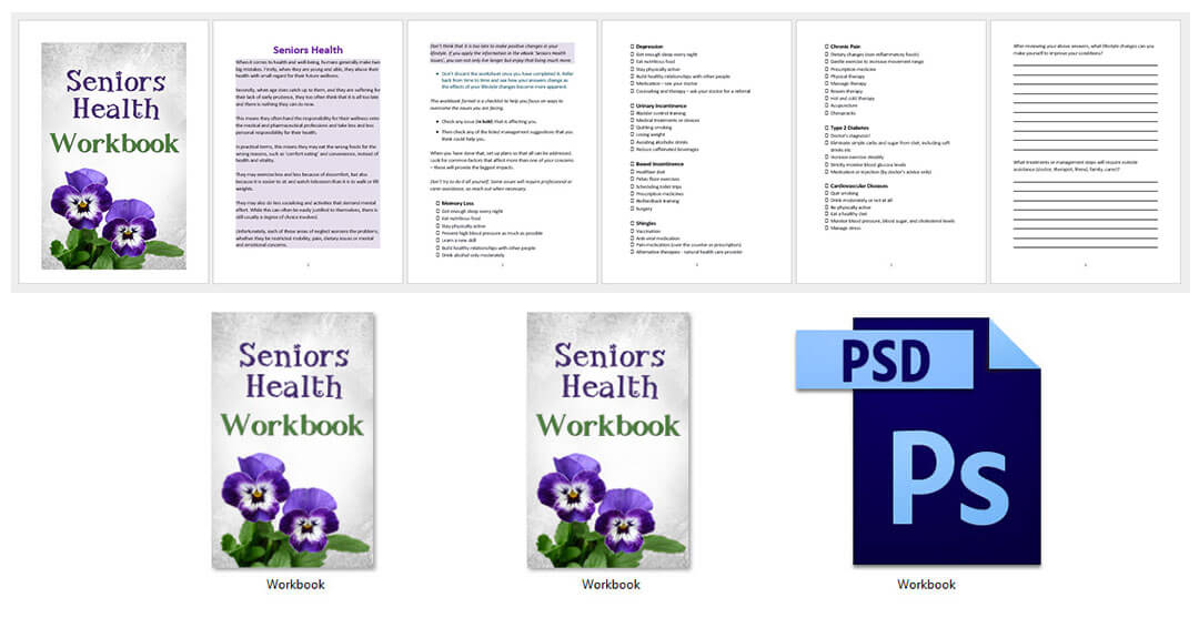 Seniors Health PLR Workbook