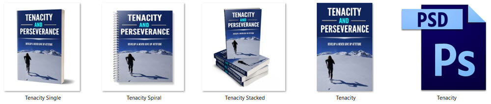 Tenacity and Perseverance PLR eCover Graphics