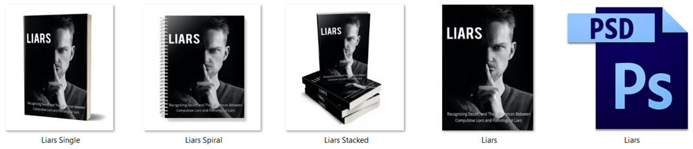 Chronic Liars PLR eBook Cover Graphics