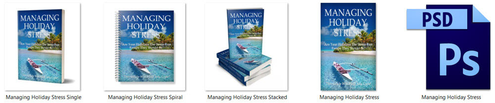 Managing Holiday Stress PLR Report eCover Graphics 1
