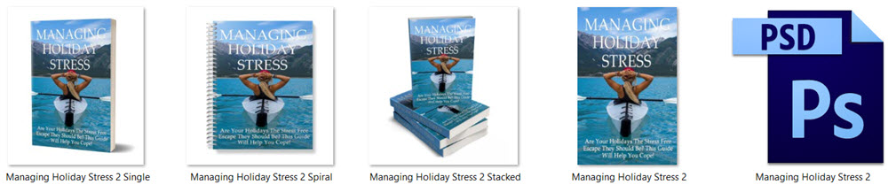 Managing Holiday Stress PLR Report eCover Graphics 2