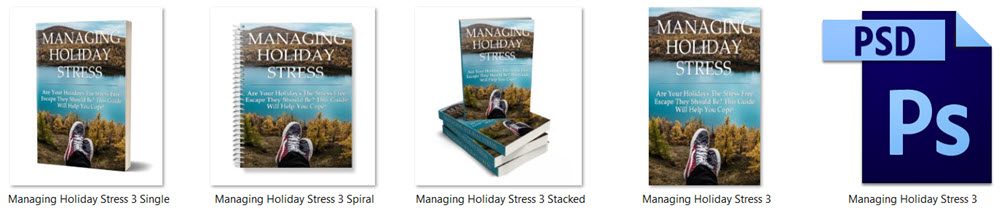 Managing Holiday Stress PLR Report eCover Graphics 3