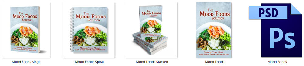 Mood Foods PLR Report eCover Graphics